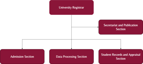 Organizational Structure - UPLB OUR